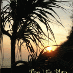 The Life Plan by Sybil Baker